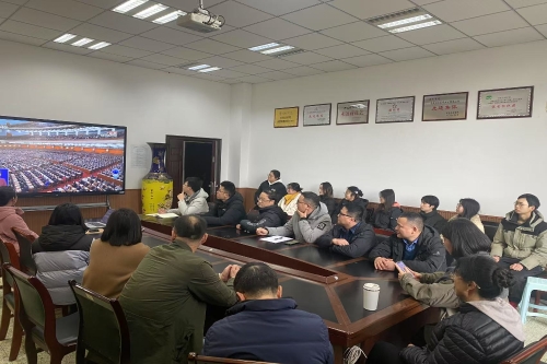 公司组织集中观看2025年全国...